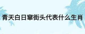 青天白日窜街头代表什么生肖