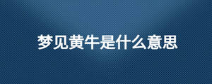 /nameask/25458.html