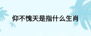 仰不愧天是指什么生肖