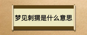 /nameask/25632.html