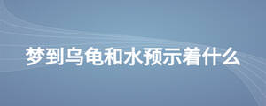 梦到乌龟和水预示着什么