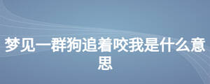 梦见一群狗追着咬我是什么意思