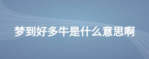 梦到好多牛是什么意思啊