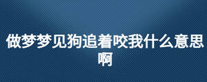 做梦梦见狗追着咬我什么意思啊