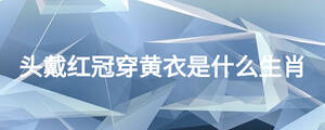 头戴红冠穿黄衣是什么生肖