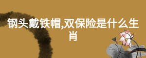 钢头戴铁帽,双保险是什么生肖