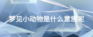 梦见小动物是什么意思呢