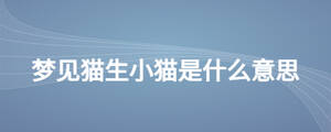 梦见猫生小猫是什么意思
