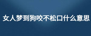女人梦到狗咬不松口什么意思