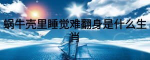 蜗牛壳里睡觉难翻身是什么生肖