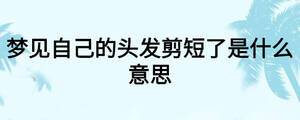 /nameask/25817.html