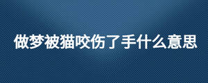 做梦被猫咬伤了手什么意思