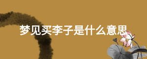 梦见买李子是什么意思