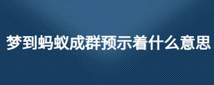 梦到蚂蚁成群预示着什么意思