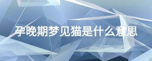 孕晚期梦见猫是什么意思