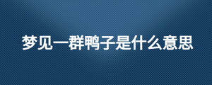 梦见一群鸭子是什么意思