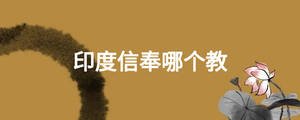 印度信奉哪个教
