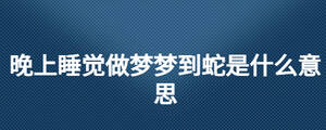 晚上睡觉做梦梦到蛇是什么意思