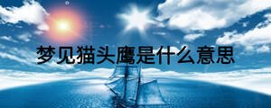 梦见猫头鹰是什么意思