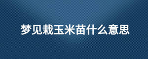 梦见栽玉米苗什么意思