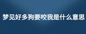 梦见好多狗要咬我是什么意思
