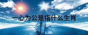 一心为公是指什么生肖