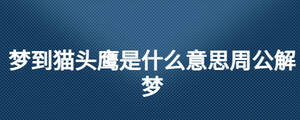 梦到猫头鹰是什么意思周公解梦