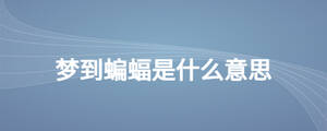 /nameask/26283.html