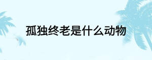 孤独终老是什么动物