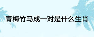青梅竹马成一对是什么生肖