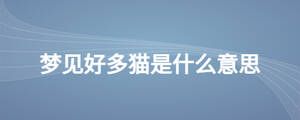 /nameask/26320.html