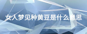 /nameask/26315.html