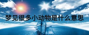 梦见很多小动物是什么意思
