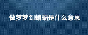 做梦梦到蝙蝠是什么意思