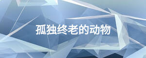 孤独终老的动物
