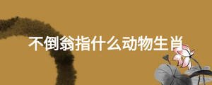 不倒翁指什么动物生肖