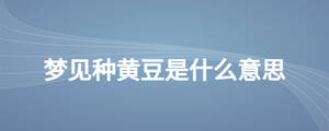 /nameask/26316.html