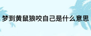 /nameask/26343.html