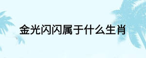 金光闪闪属于什么生肖