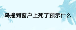 /nameask/26284.html