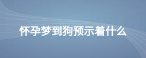 怀孕梦到狗预示着什么
