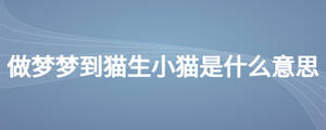 /nameask/26373.html