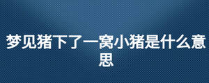 梦见猪下了一窝小猪是什么意思