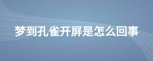 梦到孔雀开屏是怎么回事