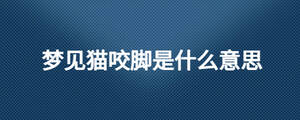 梦见猫咬脚是什么意思