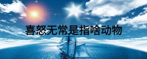 /nameask/26413.html