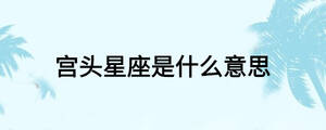 宫头星座是什么意思