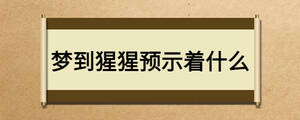 梦到猩猩预示着什么