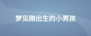 /nameask/26482.html