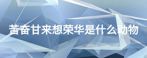 /nameask/26534.html